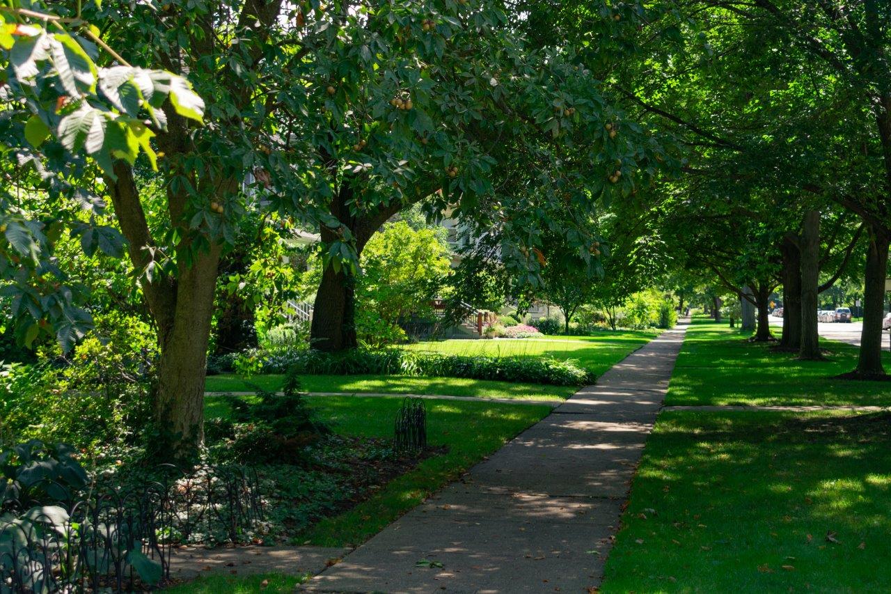 Shaded lawns shop